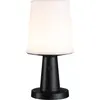 Image de Paulmann, Éclairage d'extérieur, Lampe de table solaire Ilanga (320 lm, IP44)