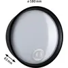 Image de Paulmann, Éclairage d'extérieur, Luminaires Platorno (1200 lm, IP44)