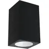 Image de Paulmann, Éclairage d'extérieur, Insect Friendly Flame (350 lm, IP44)