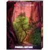 Image de Heye Singing Canyon Standard pcs (1000 pièces)