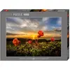 Image de Heye Cloudbeeries Standard pcs (1000 pièces)