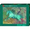 Image de Puzzle Heye Map Art Horse 2000 pièces