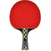 Image de Joola, Raquette de ping-pong