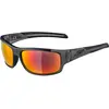 Image de Alpina, Unisexe, Lunettes de sport, Testido (Anthracite Matt, rouge céramique), Gris