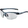Image de Alpina Sports, Unisexe, Lunettes de sport, Twist Five HR V (noir d'étain, Noir), Gris, Noir