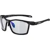 Image de Alpina Sports, Unisexe, Lunettes de sport, Twist Five V (Noir, Bleu), Noir