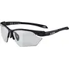 Image de Alpina, Unisexe, Lunettes de sport, Twist Five HR S V (Noir, Noir), Noir