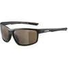 Image de Alpina, Unisexe, Lunettes de sport, Defey (Noir, Marron), Noir, Gris