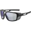 Image de Alpina Sports, Unisexe, Lunettes de sport, Skywalsh VLM+ (Noir mat, Bleu), Noir