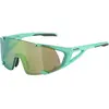 Image de Alpina Sports, Femmes, Lunettes de sport, Hawkeye S Q-Lite (turquoise mat, Vert), Turquoise