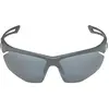 Image de Alpina Lunettes De Soleil Nylos Hr
