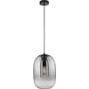 Image de Fischer & Honsel, Suspension, Honsel Trace Lampe à suspendre E27 verre fumé noir 60713 (E27)