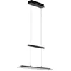 Image de Fischer & Honsel, Suspension, Honsel Tenso TW LED Suspension 21,4W Tunable white contrôlable dimmable verre fumé t