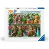 Image de Ravensburger Katzen im Regal (500 pièces)