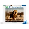 Image de Ravensburger Le lion, le roi des animaux (1500 pièces)