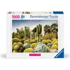 Image de Ravensburger Puzzle 12000850, Beautiful Gardens - The Huntington Desert Garden, California, USA - (1000 pièces)