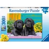 Image de Ravensburger Labradors noirs (300 pièces)