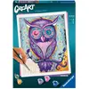 Image de Ravensburger Hibou rêveur