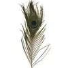 Image de Rayher, Matériaux naturels, Plume de paon 3 pcs.