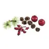 Image de Rayher, Matériaux naturels, Articles de décoration multicolores Mix avec pommes et baies 11 pcs.