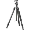 Image de Bresser Trépied Br-2504x8c-b1