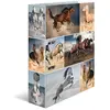 Image de Herma, Classeur, Dossier A4 Motif (A4, 70 mm, 1 pcs)