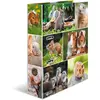 Image de Herma, Classeur, Dossier A4 Motif (A4, 70 mm, 1 pcs)