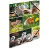 Image de Herma, Porte-documents, Porte-documents A4 Motif (A4)