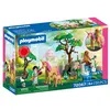 Image de Playmobil Promo Pack 72067 Journée avec les fées