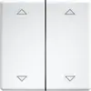 Image de Eltako Bascule double, Bouton + interrupteur, Blanc