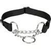Image de Trixie Collier d'arrêt de traction Premium (L, M, Chien), Collier + laisse