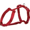 Image de Trixie Harnais Premium H (L, Chien, Sport canin), Collier + laisse
