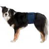 Image de 2x Trixie Bandeau pour mâle XL 65-75cm (XL), Vêtements pour chien