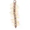 Image de 4x Trixie Mille-pattes (Peluche pour chat), Jouets pour chat