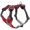 Image de Hunter Vaisselle Divo (S, Chien, Général), Collier + laisse