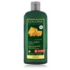 Image de Logona Volumen Shampoo Bio-Honig & Bier Shampoo