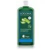 Image de Logona Bio-Aloe Vera Hydraterende Shampoo