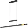Image de pfister, Suspension, Led Trajan (5300 lm)