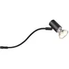 Image de Trio, Plafonnier, Luminaire apparent IP44 noir 283400132 (GU10)