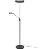 Image de Trio, Lampadaire, Franklin LED Floor Lamp, 650/4100 lm, 2700/3200/4000 K, LED 6.5/35 W, anthracite (650 lm)