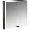 Image de Emco, Armoire de toilette, prime Armoire de toilette avec éclairage, 600 mm, 2 portes, modèle apparent, 949713561, 949713561 (60 x 16.70 x 70 cm)