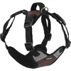 Image de Kerbl Pulsifier (Chien, Sport canin), Collier + laisse