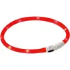 Image de Kerbl Maxi coffre-fort (Taille unique, Chien), Collier + laisse