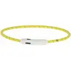 Image de Kerbl Collier à LED Maxi Safe, nylon, longueur 65 cm, jaune (Chien, Général), Collier + laisse