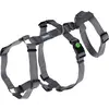 Image de Kerbl Harnais de panique Miami, gris, 15 mm, 38-52 cm (S, Chien, Général, Promenade), Collier + laisse