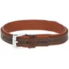 Image de Kerbl VEGAS HQ marron 20mm 32 cm (Chien), Collier + laisse