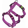 Image de Kerbl Vaisselle Miami (40, 41, 42, 43, 44, 45, 46, 47, 48, 49, 50, 52, 54, 56, Chien, Sport canin), Collier + laisse