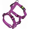 Image de Kerbl Vaisselle Miami (56, 58, 60, 62, 68, Chien, Sport canin), Collier + laisse