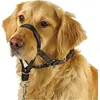 Image de Kerbl MAXI COACH taille 38cm noir (Chien, Général), Collier + laisse