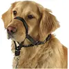 Image de Kerbl Harnais d'entraînement et d'éducation (Sport canin), Collier + laisse